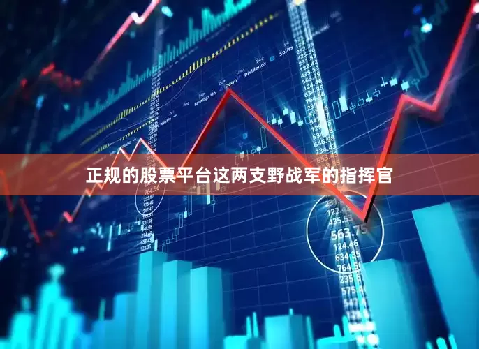 正规的股票平台这两支野战军的指挥官