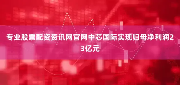 专业股票配资资讯网官网中芯国际实现归母净利润23亿元