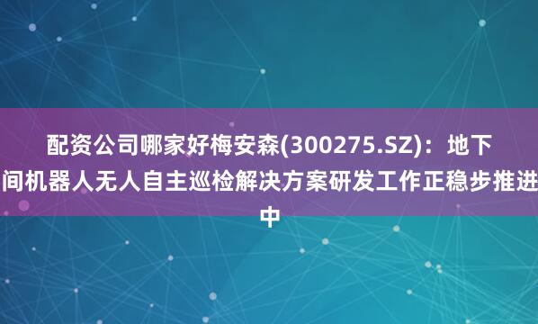 配资公司哪家好梅安森(300275.SZ)：地下空间机器人无人自主巡检解决方案研发工作正稳步推进中