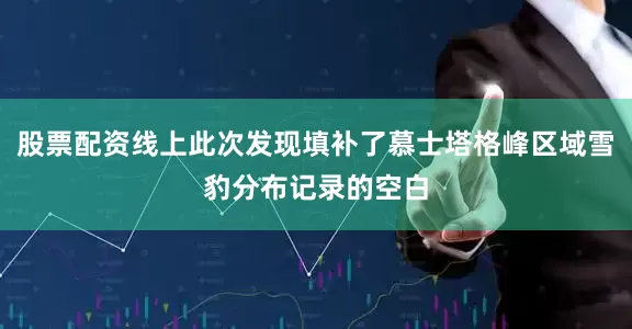 股票配资线上此次发现填补了慕士塔格峰区域雪豹分布记录的空白