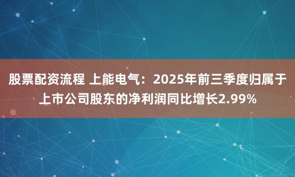 股票配资流程 上能电气:2025年前三季度归属于上市公司股东的净利润同比增长2.99%