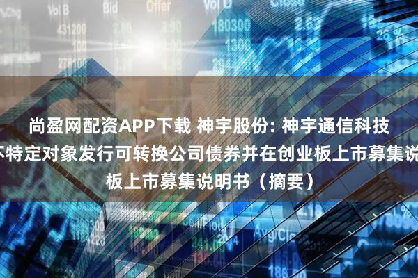 尚盈网配资APP下载 神宇股份: 神宇通信科技股份公司向不特定对象发行可转换公司债券并在创业板上市募集说明书（摘要）